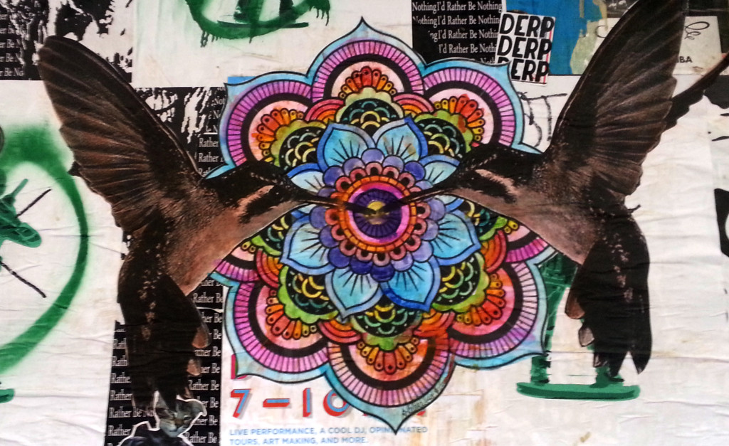 Hummingbird Graffiiti