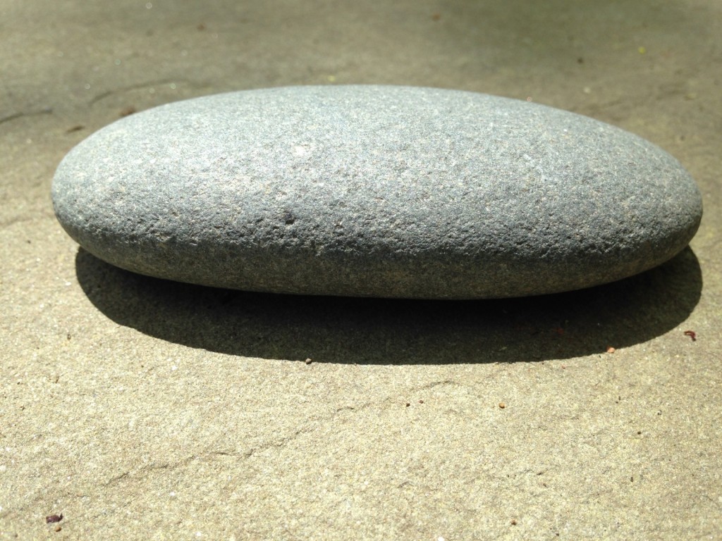 gray oval rock close-up