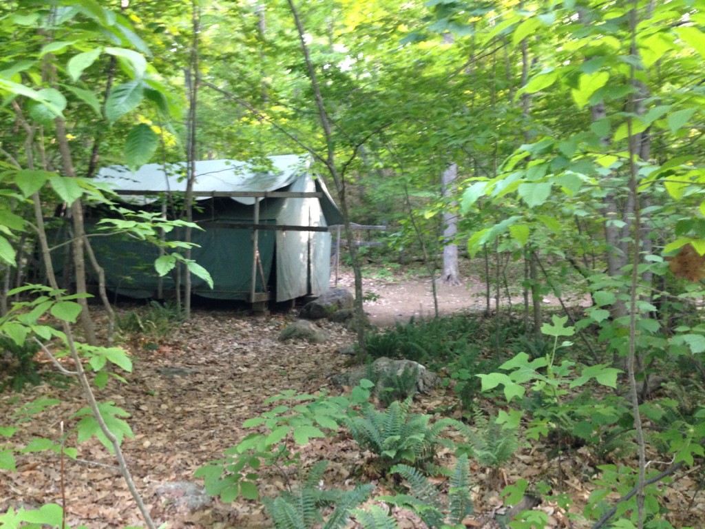 tent in woods