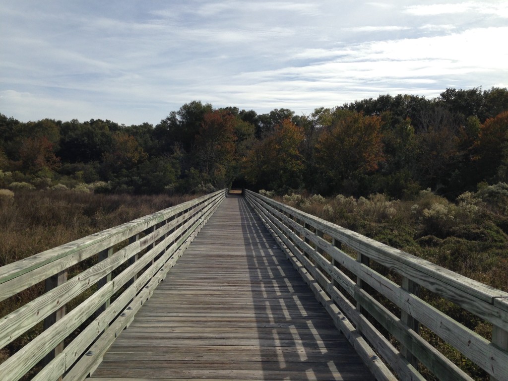 boardwalk