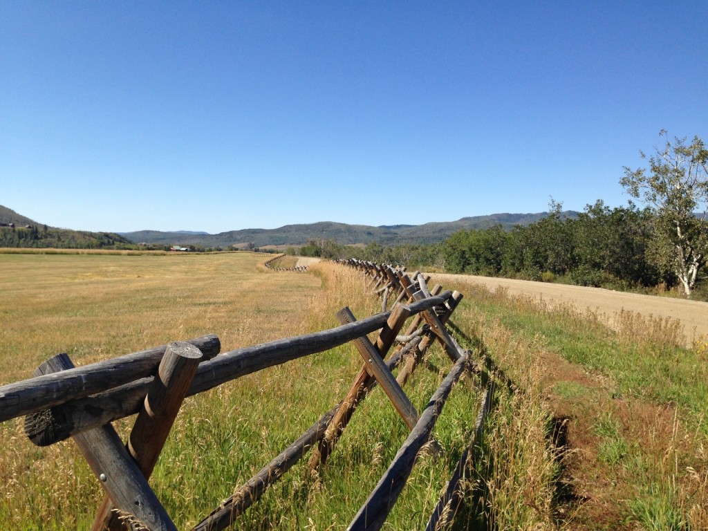 western fence