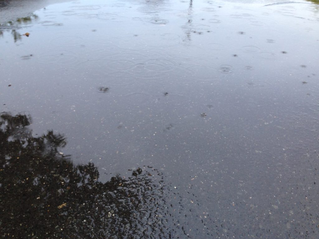 raindrops in puddle