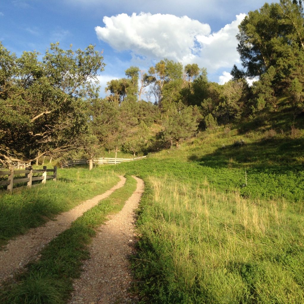 country path