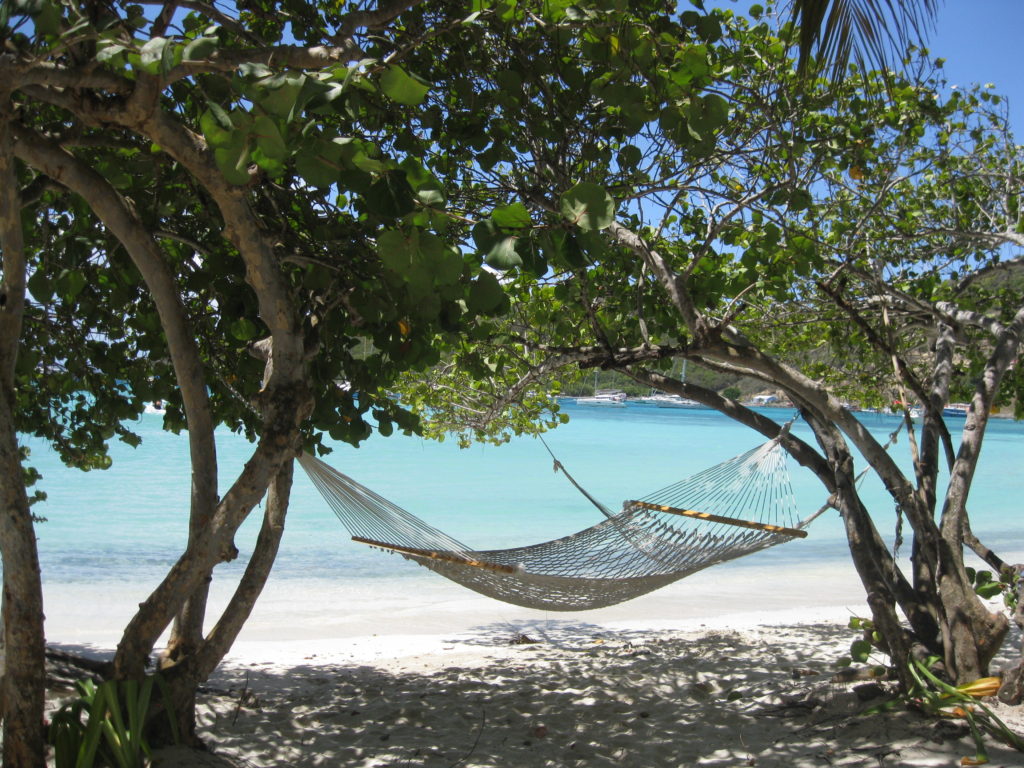 tropical hammock