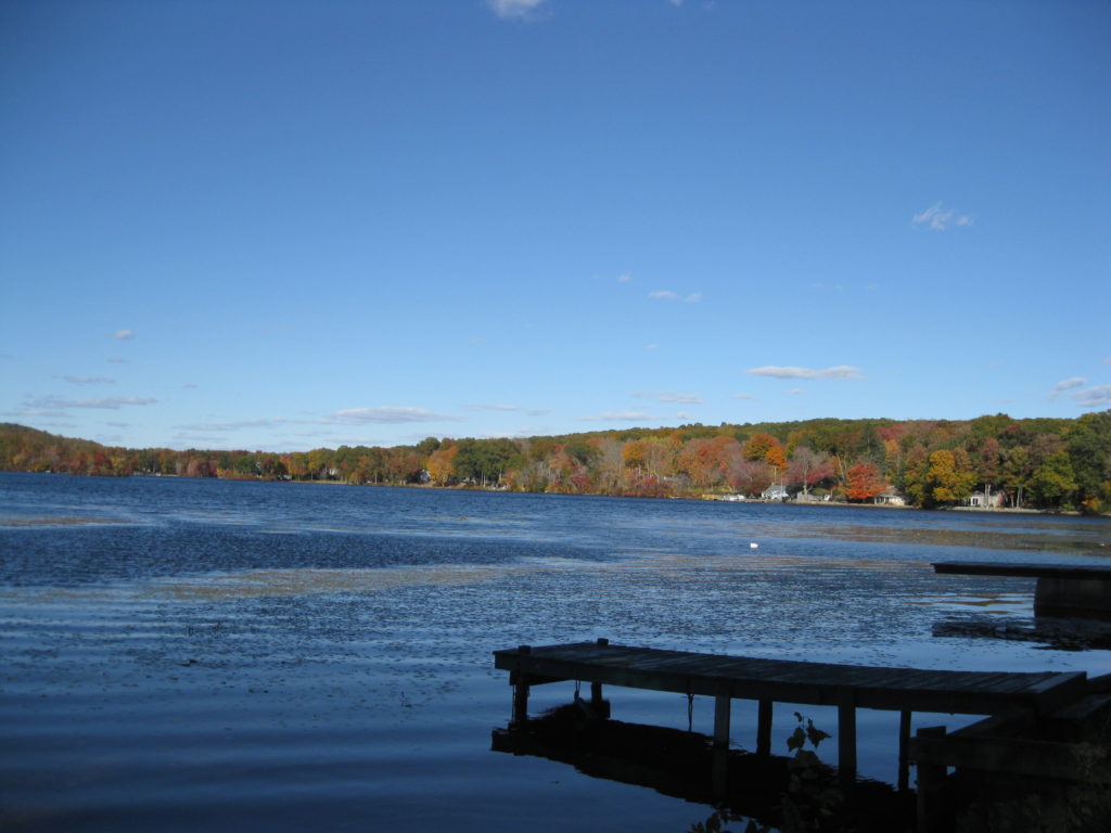 dock on lake