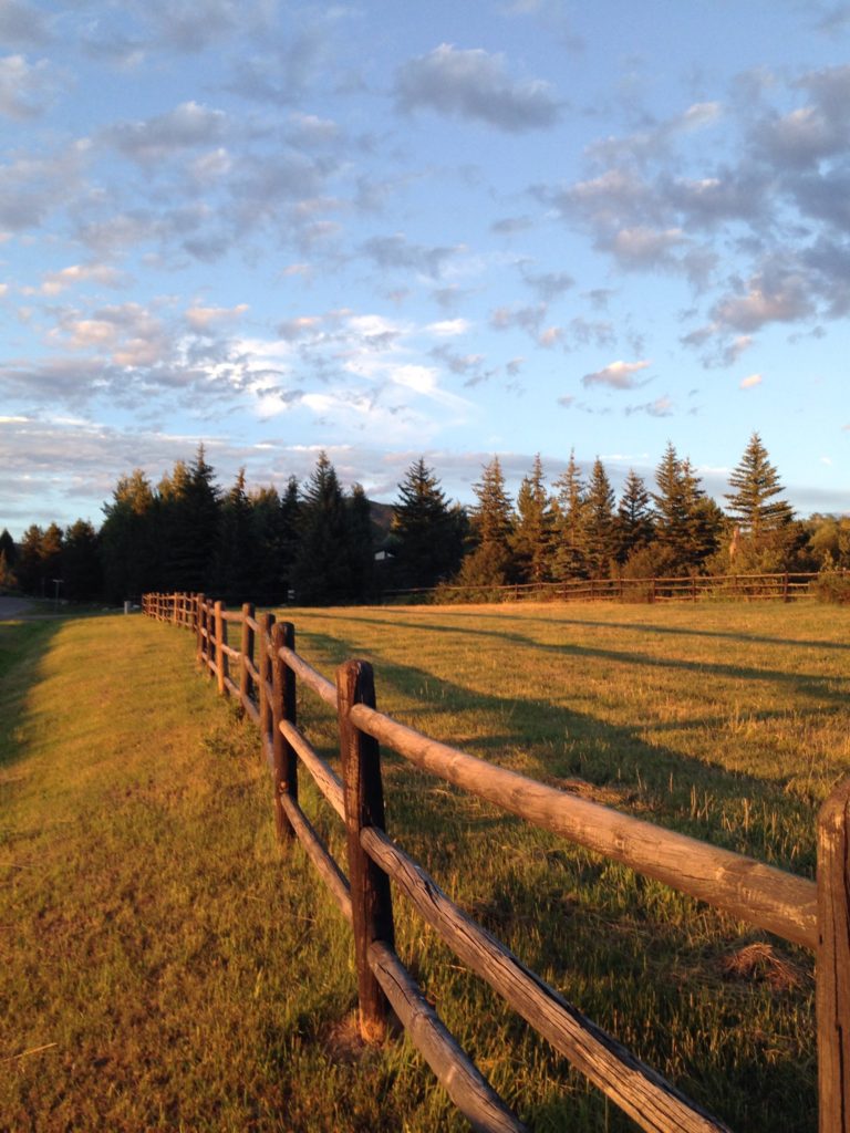 split-rail fence