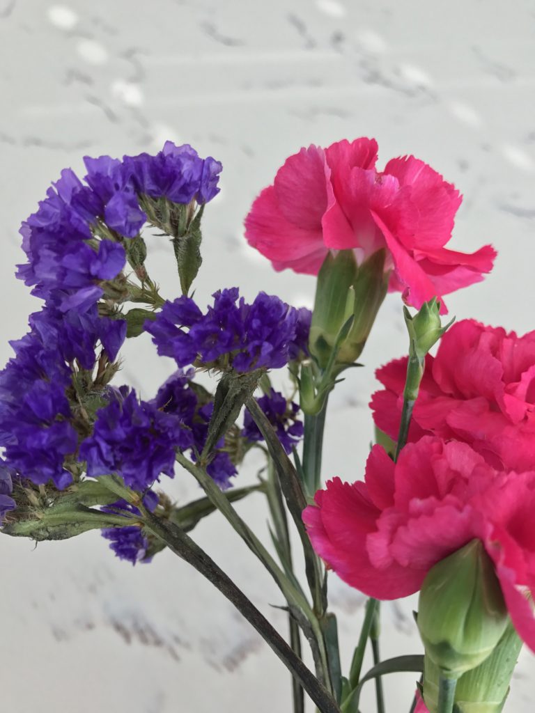 blue and pink flowers