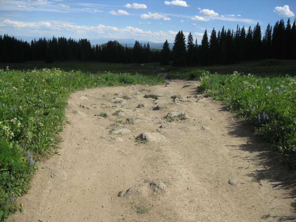 a bumpy dirt road