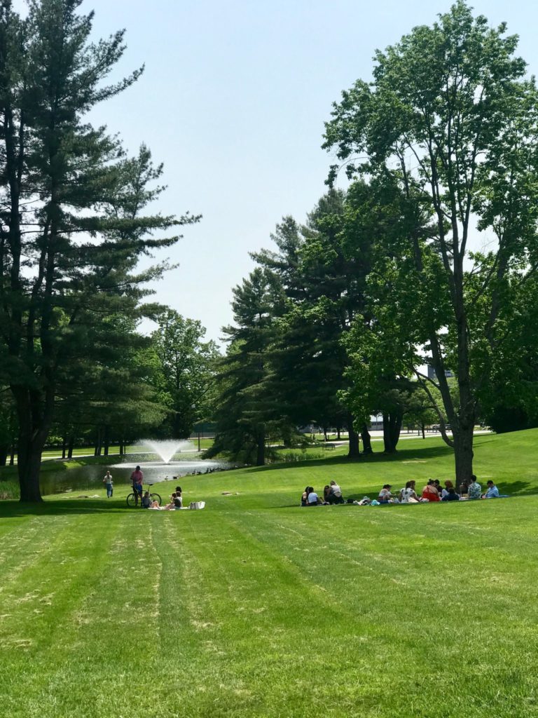 campus lawn with trees and groups of students